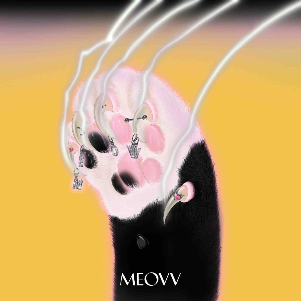 Thành viên MEOVV (Profile Updated)